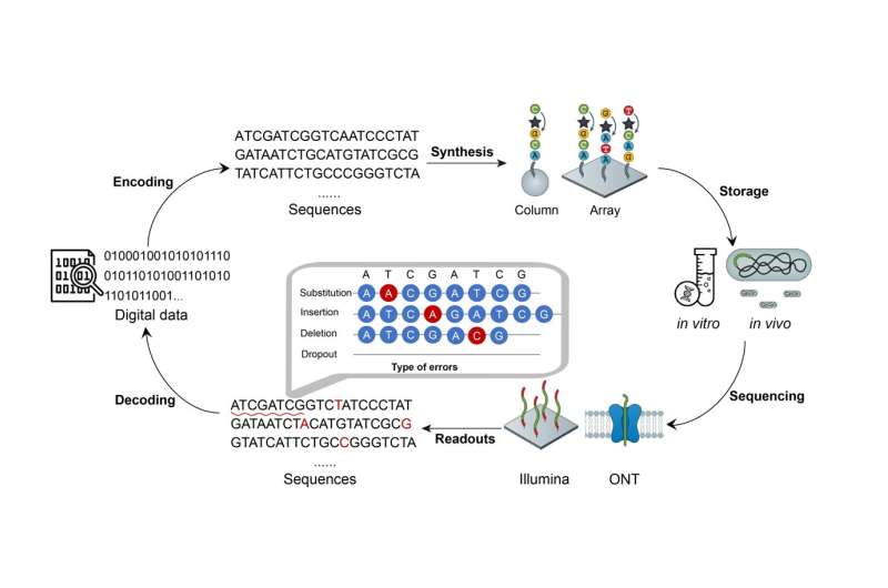 Unleashing the power of soft-decision decoding in DNA digital storage