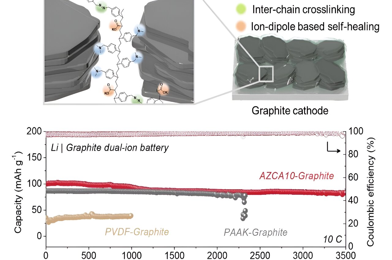 Making electric vehicles last: Team develops polymer binder to extend dual-ion battery lifespanMaking electric vehicles last: Team develops polymer binder to extend dual-ion battery lifespan