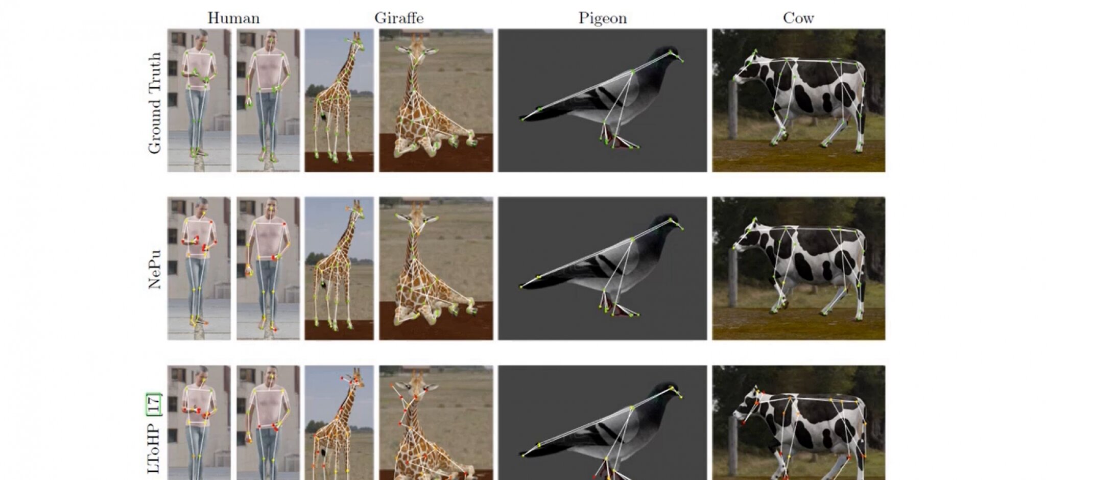 Designing a ‘neural puppeteer’ to recognize skeletal nodesDesigning a ‘neural puppeteer’ to recognize skeletal nodes
