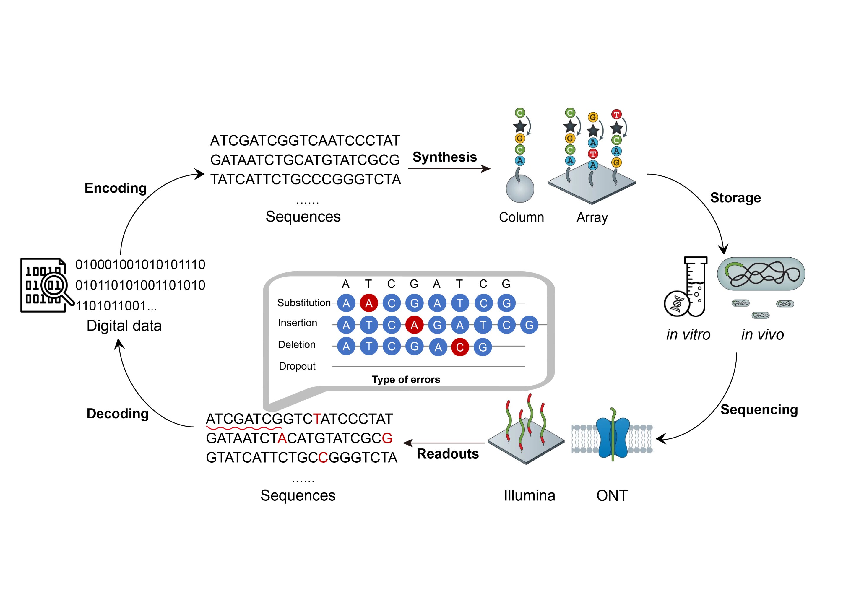 Unleashing the power of soft-decision decoding in DNA digital storageUnleashing the power of soft-decision decoding in DNA digital storage