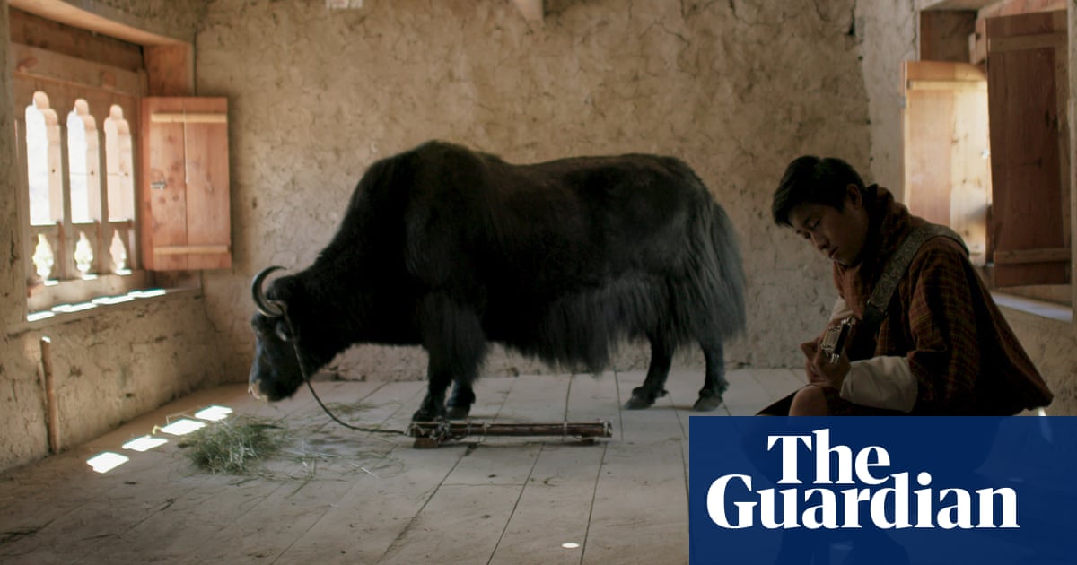 ‘They’d never seen sliced bread’: how a tiny film about Himalayan yak-herders conquered the world‘They’d never seen sliced bread’: how a tiny film about Himalayan yak-herders conquered the world
