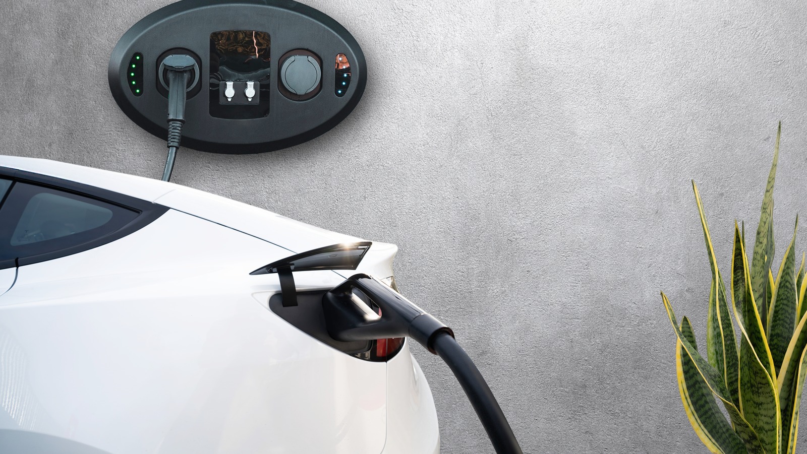 Tesla Reveals Unlimited Overnight Charging Plan And Wireless Car Charger – SlashGearTesla Reveals Unlimited Overnight Charging Plan And Wireless Car Charger – SlashGear