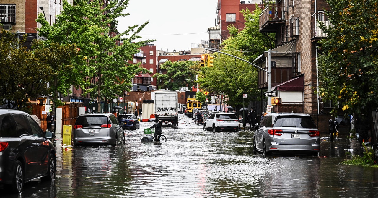 New York Needs to Get Spongier—or Get Used to More FloodsNew York Needs to Get Spongier—or Get Used to More Floods