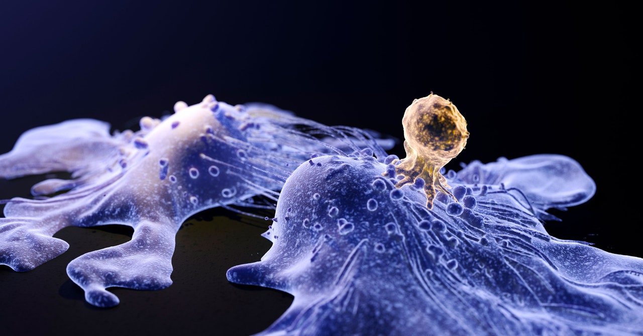 A Cutting-Edge Cancer Treatment May Cause Cancer. The FDA Is InvestigatingA Cutting-Edge Cancer Treatment May Cause Cancer. The FDA Is Investigating