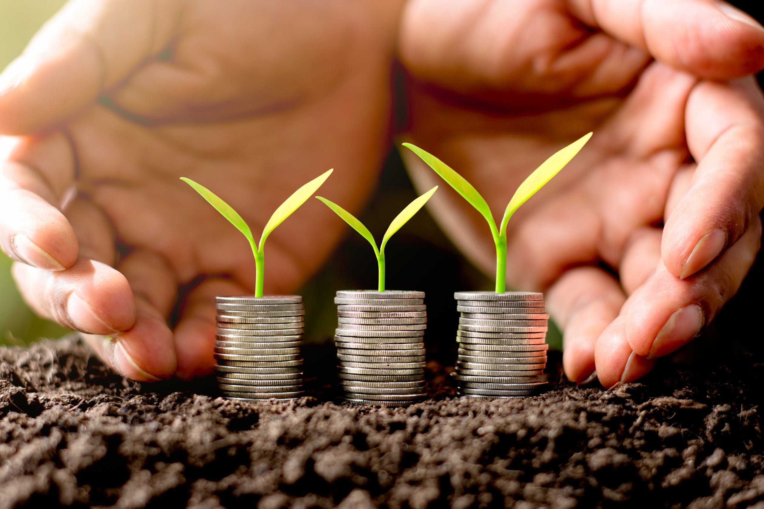 3 Best Stocks for Beginners to Buy Now with Little Money | Entrepreneur3 Best Stocks for Beginners to Buy Now with Little Money | Entrepreneur