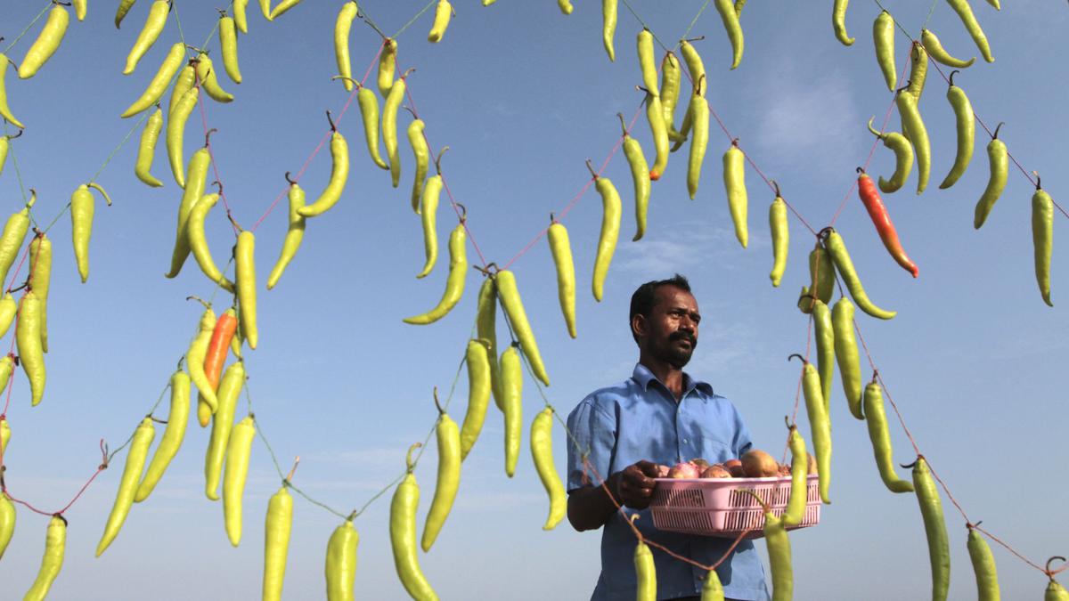 Meet the makers of Chennai’s iconic foodsMeet the makers of Chennai’s iconic foods