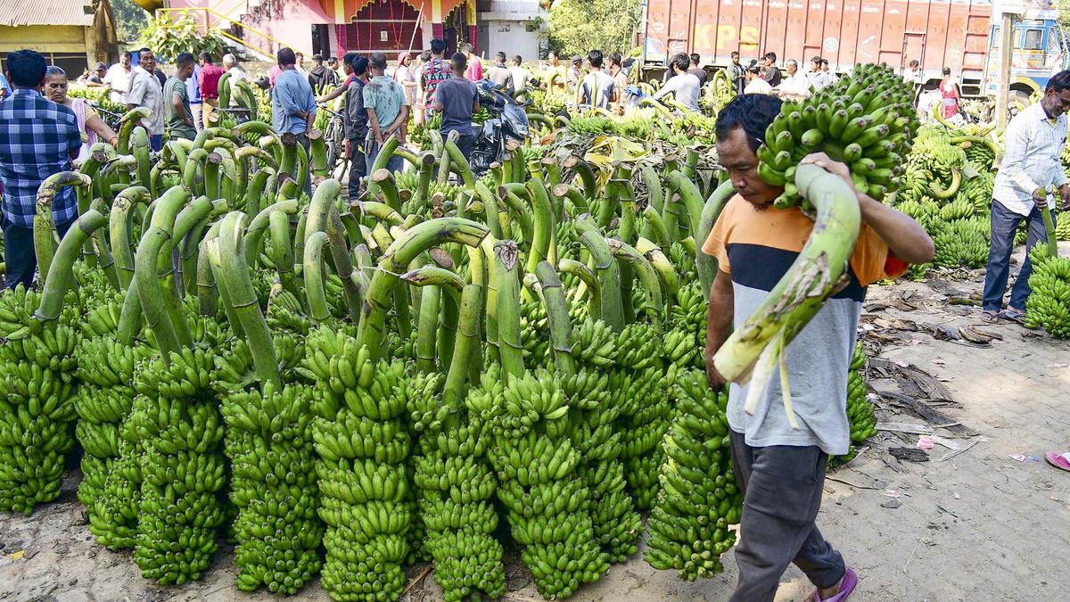 Food prices up 1.1% but inflation in onions, pulses, paddy and cereals accelerate Food prices up 1.1% but inflation in onions, pulses, paddy and cereals accelerate 