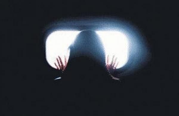 Wisdom: From breakdown to breakthroughWisdom: From breakdown to breakthrough