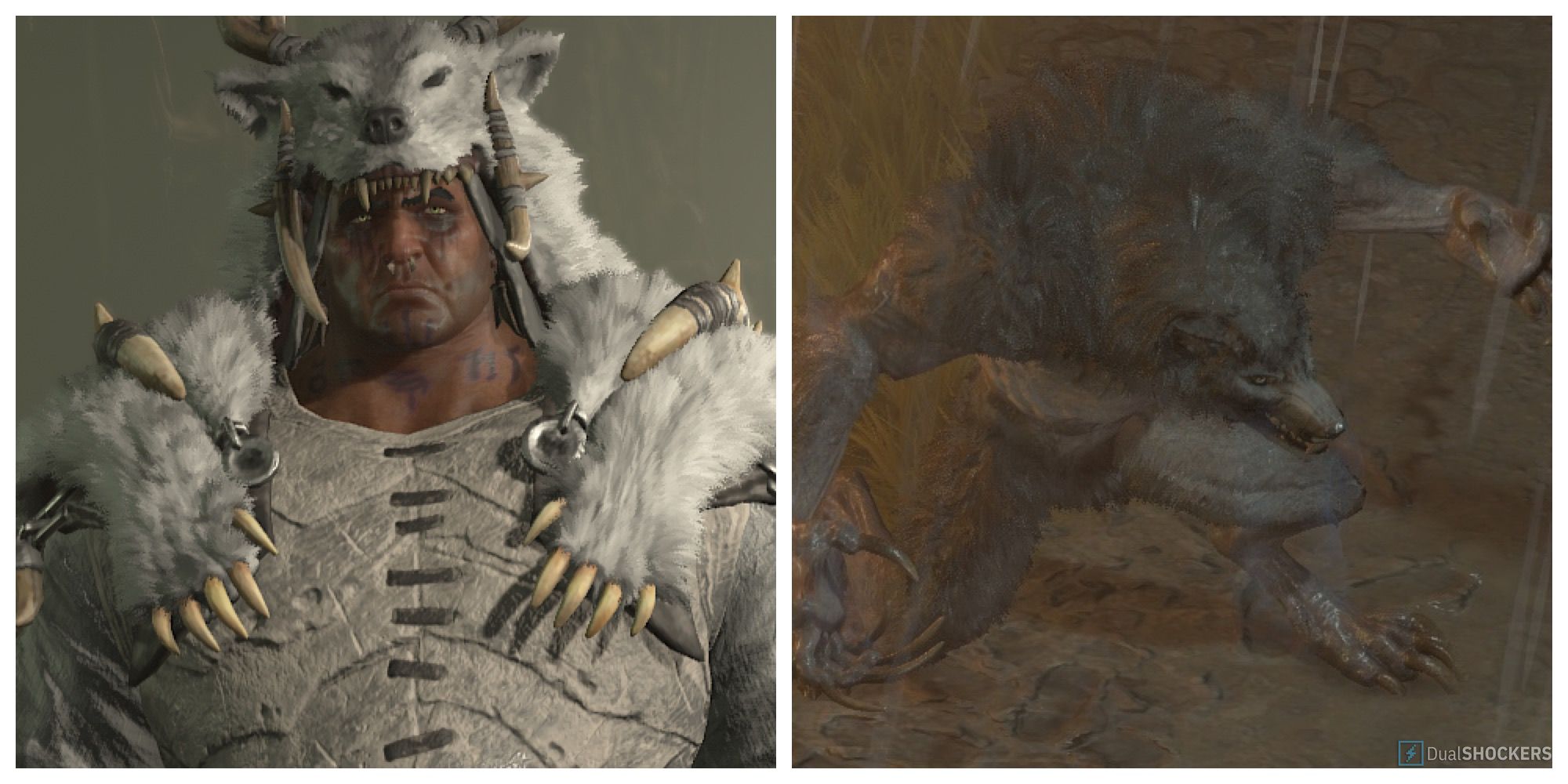 Diablo 4: Storm Wolf Druid BuildDiablo 4: Storm Wolf Druid Build