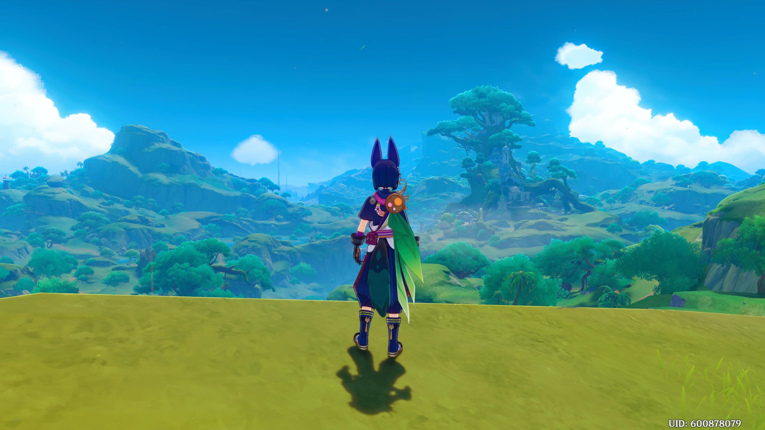 The Genshin Impact 3.0 Sumeru update is out, here’s how to access itThe Genshin Impact 3.0 Sumeru update is out, here’s how to access it